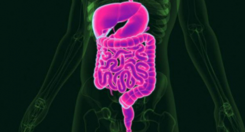 Ruolo del Microbiota Intestinale nel Cancro: Nuove Prospettive Terapeutiche